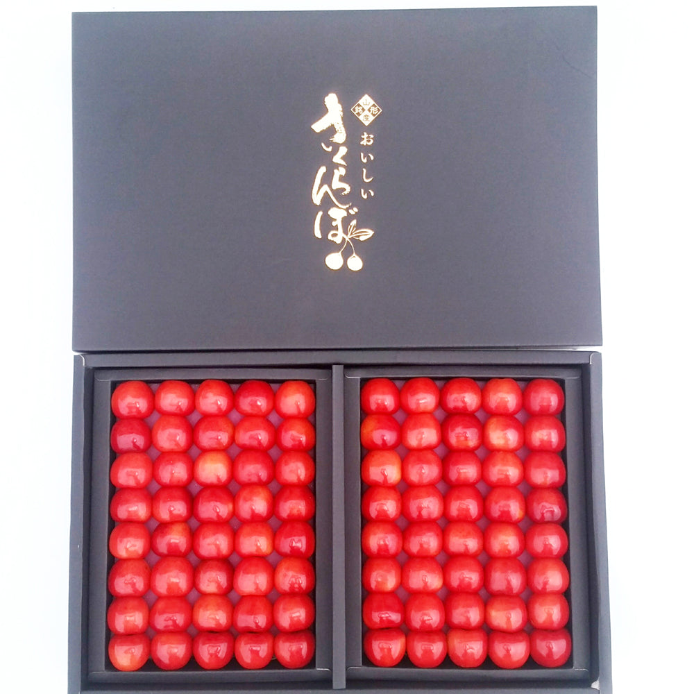 【予約期間5/1~5/31、配送料込み】旬のフルーツ さくらんぼB 秀品L 【約300g×2】