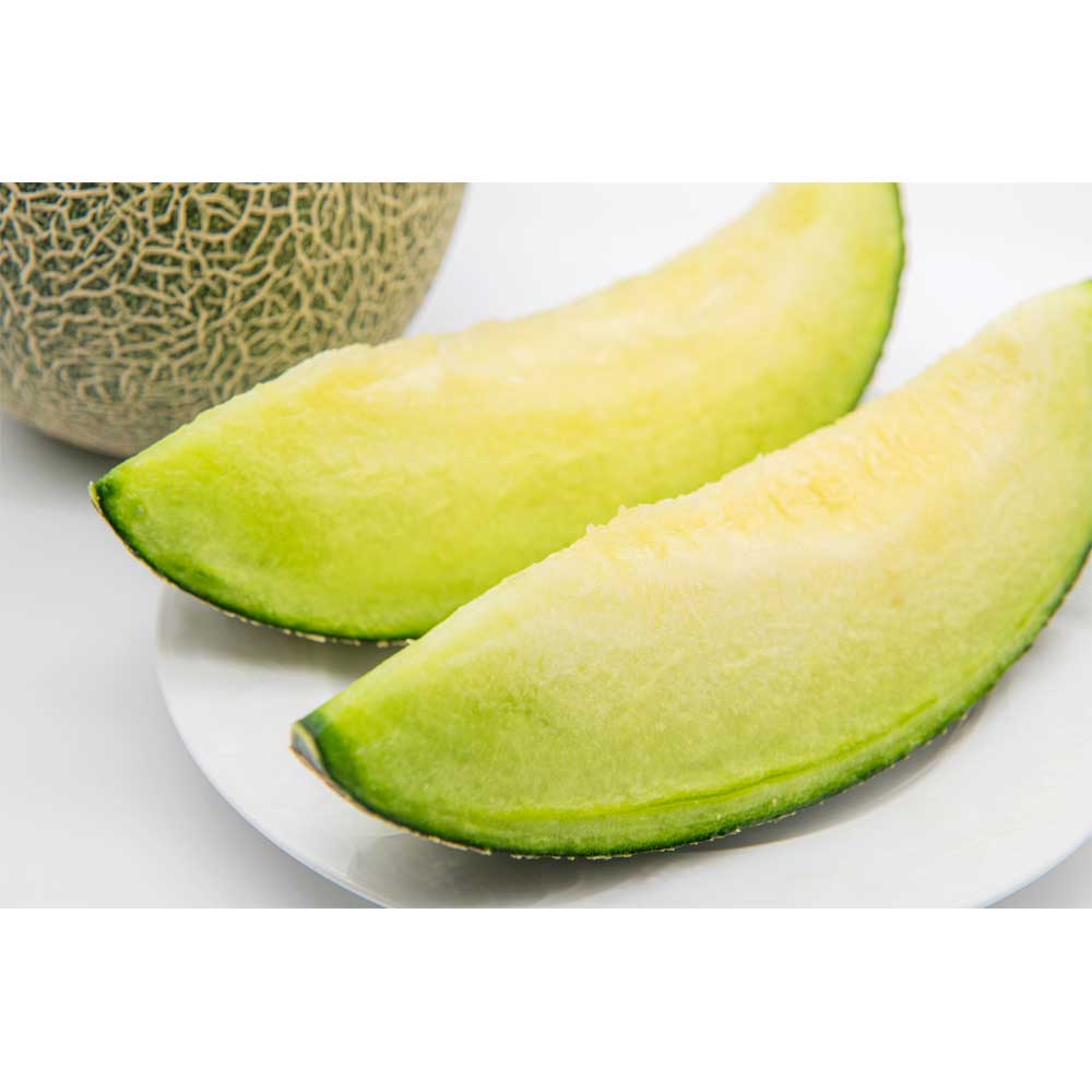 【予約期間5/1~5/31、配送料込み】父の日 肥後グリーンメロン 【約1.8kg】