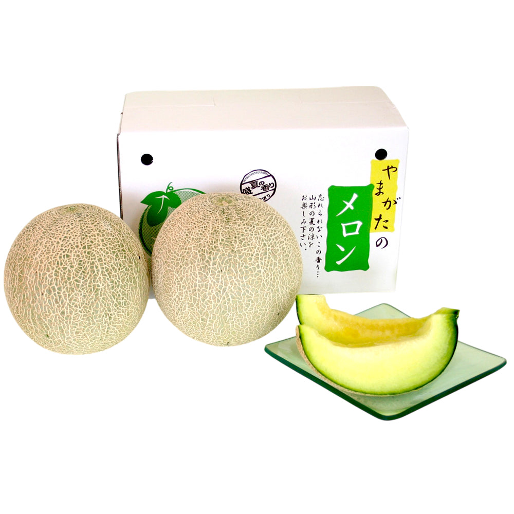 【予約期間6/18~7/20、配送料込み】お中元限定 『庄内メロン』 【約2.5kg】
