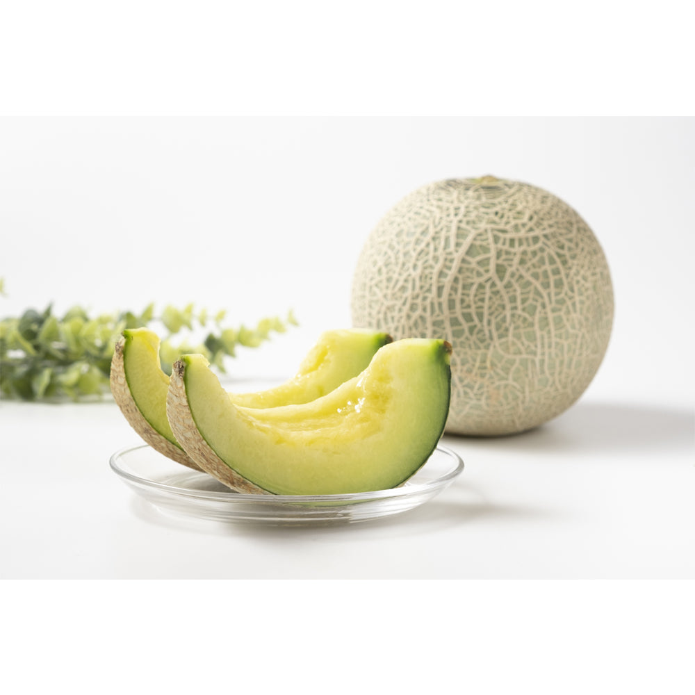 【予約期間6/18~7/20、配送料込み】お中元限定 『庄内メロン』 【約2.5kg】