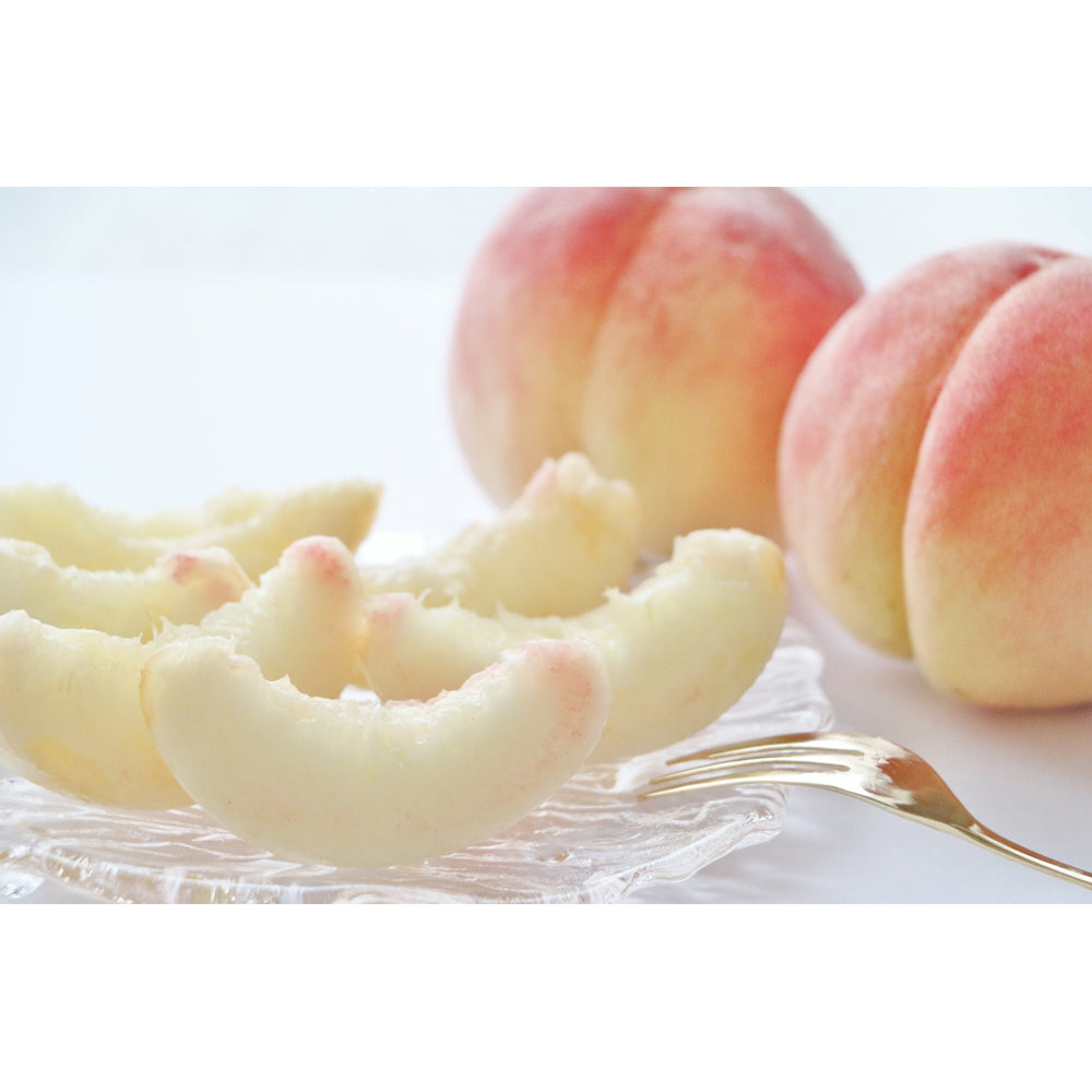 【予約期間7/1~7/31、配送料込み】旬のフルーツ 白桃 【約1kg】