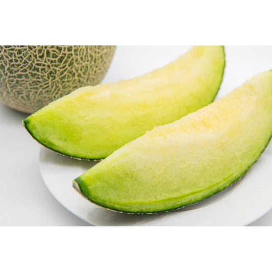 【予約期間5/1～5/31、配送料込み】父の日 肥後グリーンメロン 【約1.8kg】